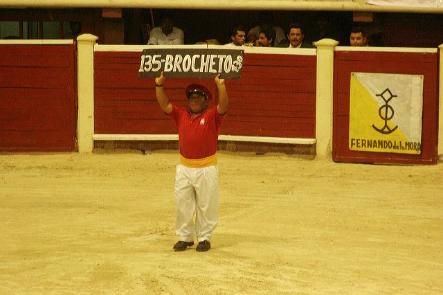 brocheto_05.jpg
