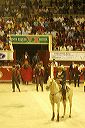 brocheto_04